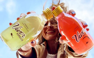 #28. Víver Kombucha – ¿Qué ingredientes llevan las soluciones?